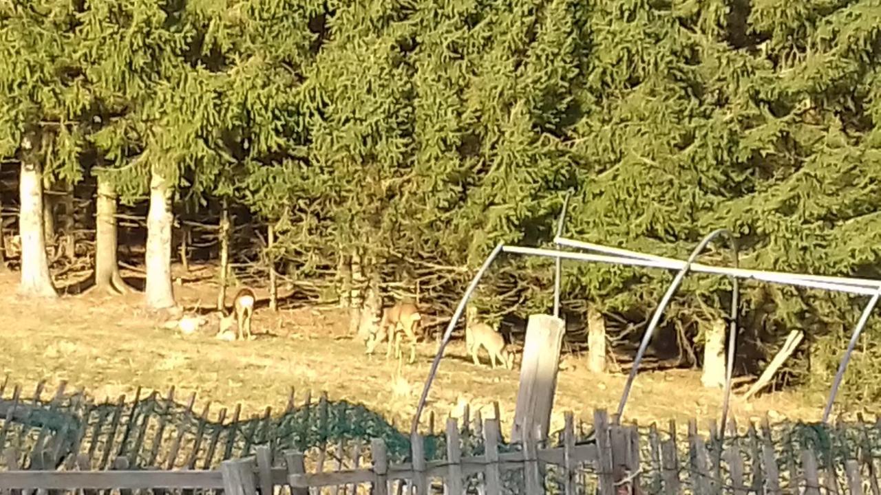 Petit Chalet Nature 레루스 외부 사진